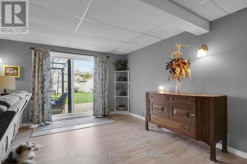 Walk Out Family Room Above Grade in Lower Level - 1315 Jalna Boulevard, London, ON - Indoor