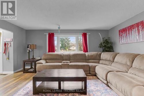 Living Room - 1315 Jalna Boulevard, London, ON - Indoor Photo Showing Living Room