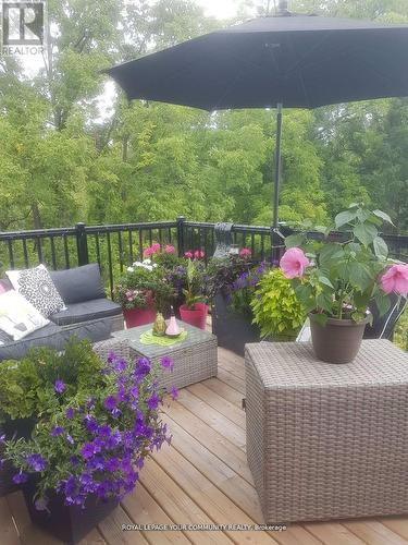 147 Lebovic Campus Drive, Vaughan, ON - Outdoor With Deck Patio Veranda