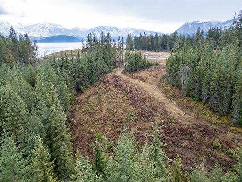 7663 Creekside Road, Revelstoke, BC 