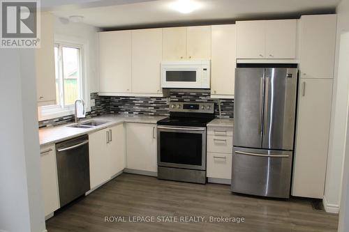 23 Horning Drive, Hamilton, ON - Indoor Photo Showing Kitchen With Double Sink