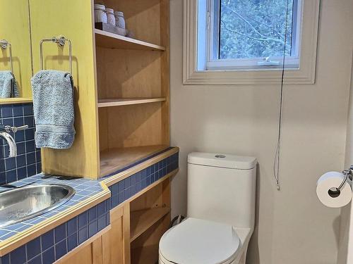 Salle d'eau - 1965 Ch. De La Galère, Saint-Édouard-De-Fabre, QC - Indoor Photo Showing Bathroom