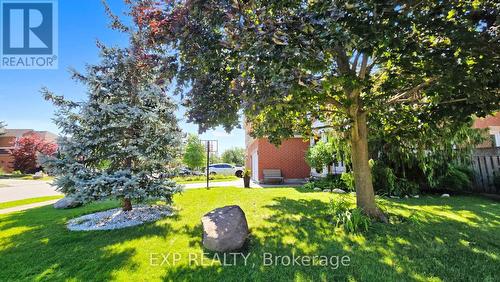 214 Drinkwater Road, Brampton, ON - Outdoor