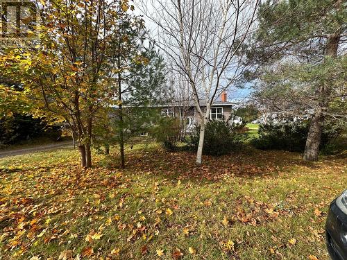 172 Springfield Road, South River, NL - Outdoor