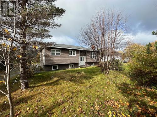 172 Springfield Road, South River, NL - Outdoor