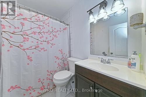 12 Mackenzie Drive, Halton Hills, ON - Indoor Photo Showing Bathroom