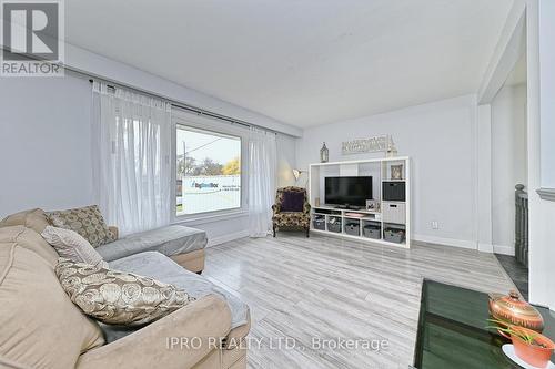 12 Mackenzie Drive, Halton Hills, ON - Indoor Photo Showing Living Room