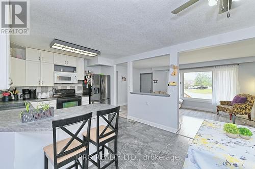 12 Mackenzie Drive, Halton Hills, ON - Indoor Photo Showing Kitchen