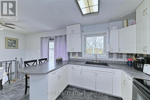 12 Mackenzie Drive, Halton Hills, ON - Indoor Photo Showing Kitchen