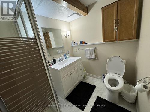 21 Salvia Court, London, ON - Indoor Photo Showing Bathroom