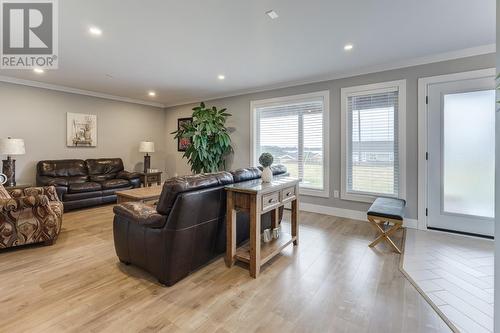 130 Amber Drive, Whitbourne, NL - Indoor Photo Showing Living Room