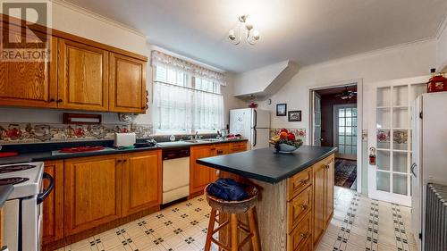 30 Raleigh Street, St. John'S, NL - Indoor Photo Showing Kitchen With Double Sink