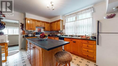 30 Raleigh Street, St. John'S, NL - Indoor Photo Showing Kitchen With Double Sink