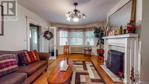 30 Raleigh Street, St. John'S, NL - Indoor Photo Showing Other Room With Fireplace