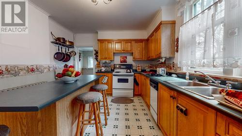 30 Raleigh Street, St. John'S, NL - Indoor Photo Showing Kitchen With Double Sink