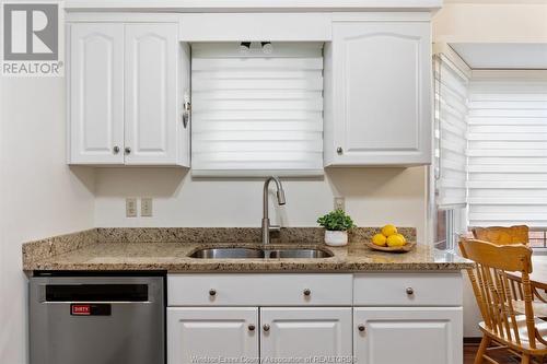 12139 Orchard, Tecumseh, ON - Indoor Photo Showing Kitchen With Double Sink