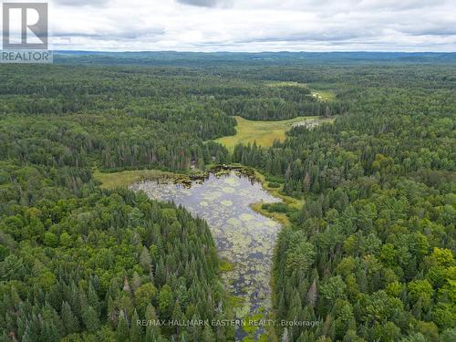 601 Old Detlor Road, Bancroft, ON 