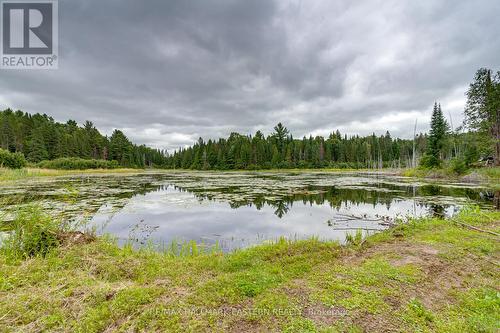 601 Old Detlor Road, Bancroft, ON 