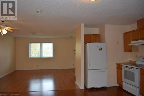 Kitchen with light wood-type flooring, a textured ceiling, white appliances, and ceiling fan - 147 Weber Street E, Kitchener, ON - Indoor Photo Showing Kitchen