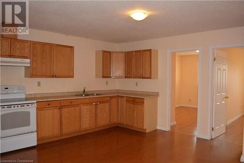 Kitchen with a textured ceiling, hardwood / wood-style flooring, white range with electric cooktop, and sink - 147 Weber Street E, Kitchener, ON - Indoor Photo Showing Kitchen With Double Sink