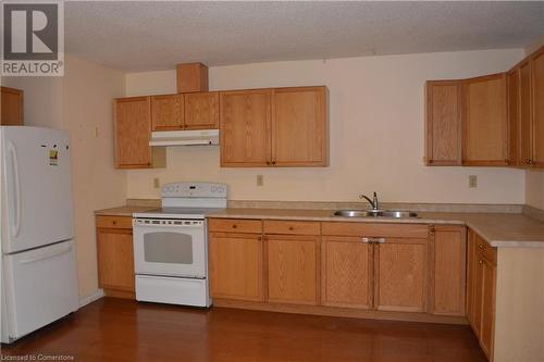 Kitchen featuring a textured ceiling, sink, dark hardwood / wood-style floors, and white appliances - 147 Weber Street E, Kitchener, ON - Indoor Photo Showing Kitchen With Double Sink