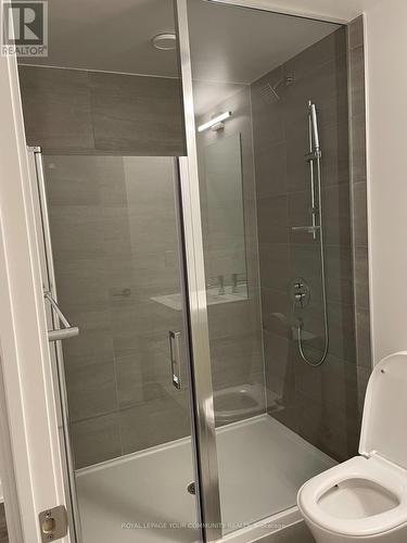 210 - 9 Tecumseth Street, Toronto, ON - Indoor Photo Showing Bathroom