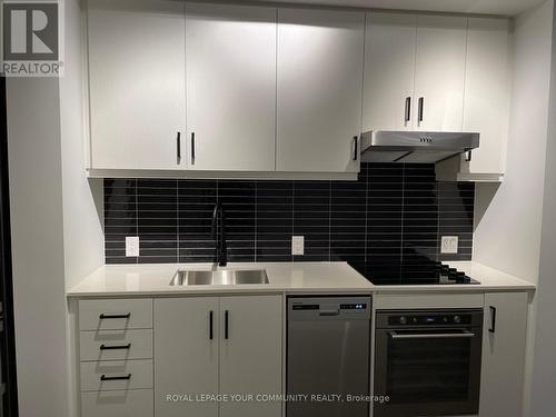 210 - 9 Tecumseth Street, Toronto, ON - Indoor Photo Showing Kitchen