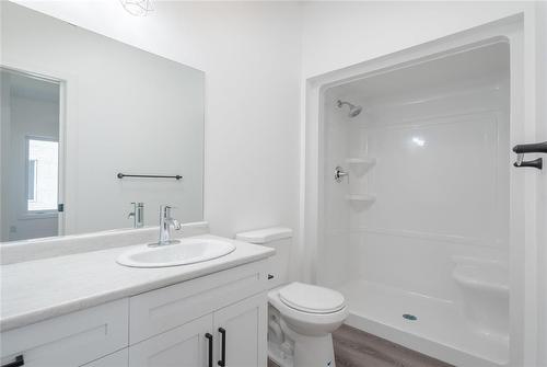 41 Falcon Drive, New Bothwell, MB - Indoor Photo Showing Bathroom