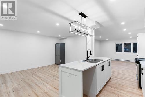 27 Doyle Street, St John'S, NL - Indoor Photo Showing Kitchen With Double Sink