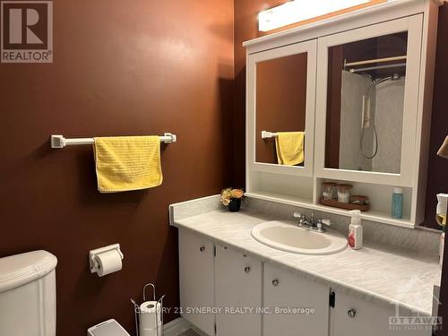 3133 Quail Drive, Ottawa, ON - Indoor Photo Showing Bathroom