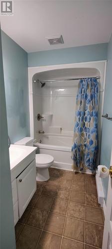 3 Crewes Road, Glovertown, NL - Indoor Photo Showing Bathroom