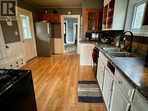 193 Mcarthur Street, Dutton/Dunwich (Dutton), ON - Indoor Photo Showing Kitchen With Double Sink