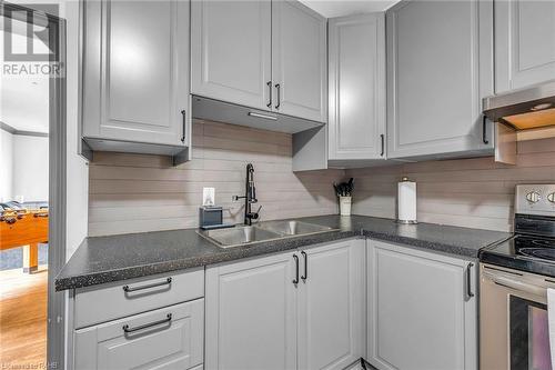 17 Elliott Avenue, Brantford, ON - Indoor Photo Showing Kitchen With Double Sink