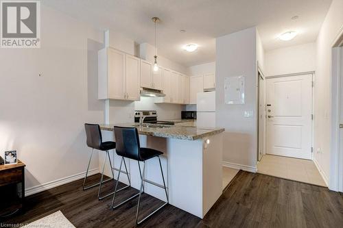 95 Wilson Street W Unit# 204, Ancaster, ON - Indoor Photo Showing Kitchen With Upgraded Kitchen