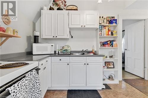 264 Macnab Street S, Hamilton, ON - Indoor Photo Showing Kitchen With Double Sink