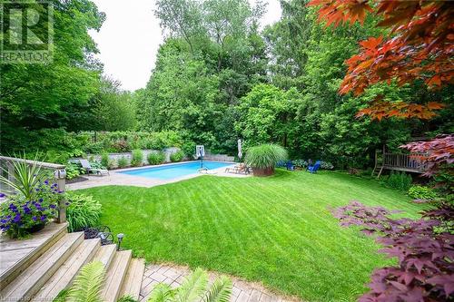 101 Hillcrest Avenue, Dundas, ON - Outdoor With In Ground Pool With Backyard