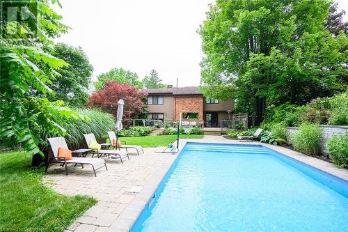 101 Hillcrest Avenue, Dundas, ON - Outdoor With In Ground Pool With Backyard