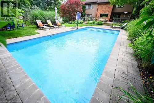 101 Hillcrest Avenue, Dundas, ON - Outdoor With In Ground Pool With Backyard