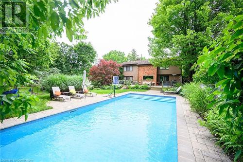 101 Hillcrest Avenue, Dundas, ON - Outdoor With In Ground Pool With Backyard