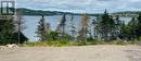 273 Main Road, Lewins Cove, NL 