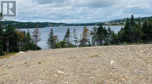 273 Main Road, Lewins Cove, NL 