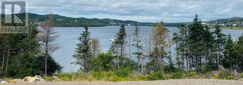 273 Main Road, Lewins Cove, NL 