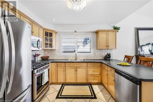 24 Benziger Lane, Hamilton, ON - Indoor Photo Showing Kitchen With Double Sink