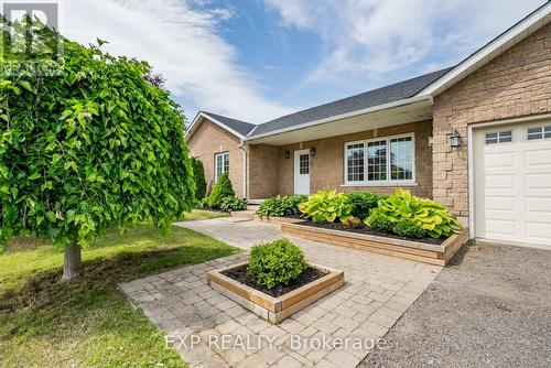 138 Johnston Court, Alnwick/Haldimand (Grafton), ON - Outdoor