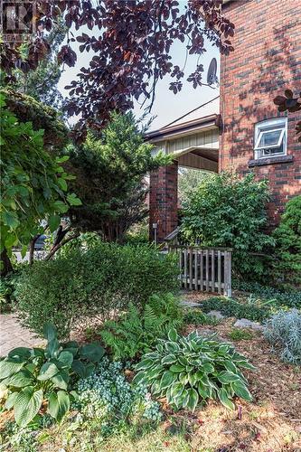 49 Rutherford Avenue, Hamilton, ON - Outdoor