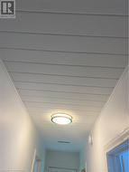 Hall ceiling and light - only a year old - 