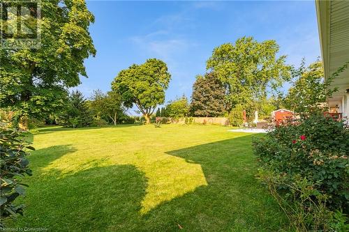 Large fenced in yard - 15414 Niagara River Parkway, Niagara-On-The-Lake, ON - Outdoor