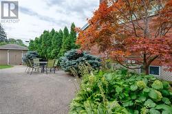 great patio area - 