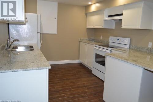 basement kitchen - 16 Wildewood Avenue, Hamilton, ON - Indoor Photo Showing Kitchen With Double Sink