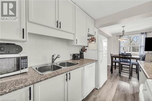 793 Colborne Street Unit# 217, Brantford, ON - Indoor Photo Showing Kitchen With Double Sink